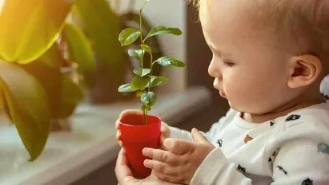 Rutinitas Mini yang Menghidupkan Suasana